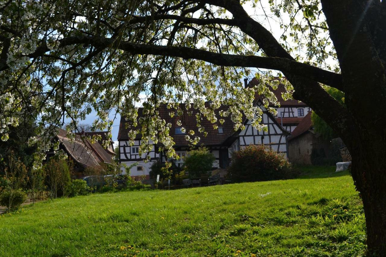 Ferienidyll Cleebourg Villa Exterior photo